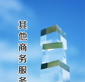 【中国商标变更 商标补证 删减商品或服务项目 变更代理人服务】价格_厂家_图片 -