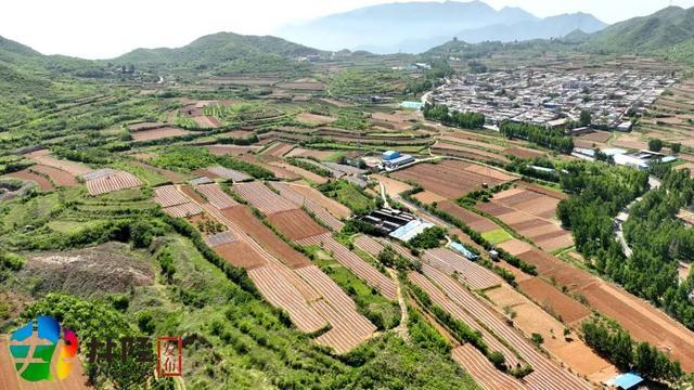 井陉 小山村的大事情 事务代理